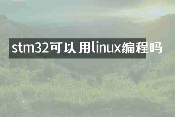 stm32可以用linux编程吗