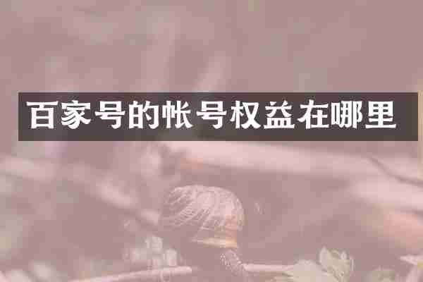 百家号的帐号权益在哪里