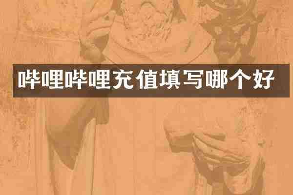 哔哩哔哩充值填写哪个好