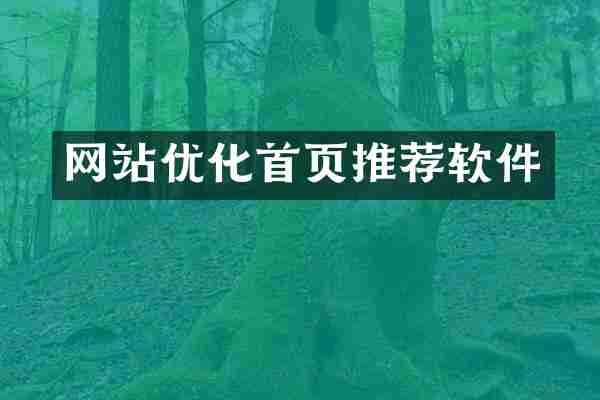 网站优化首页推荐软件