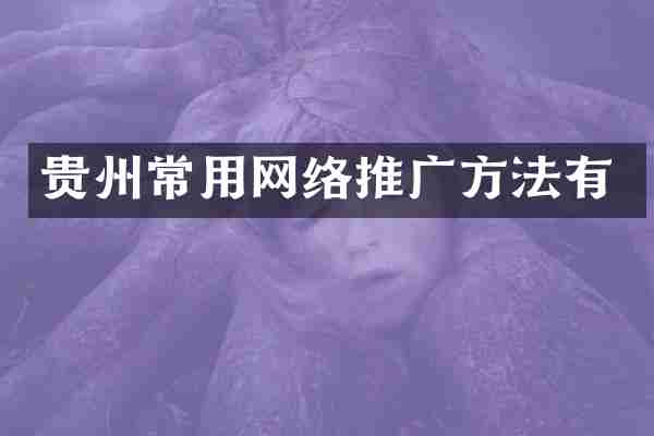 贵州常用网络推广方法有