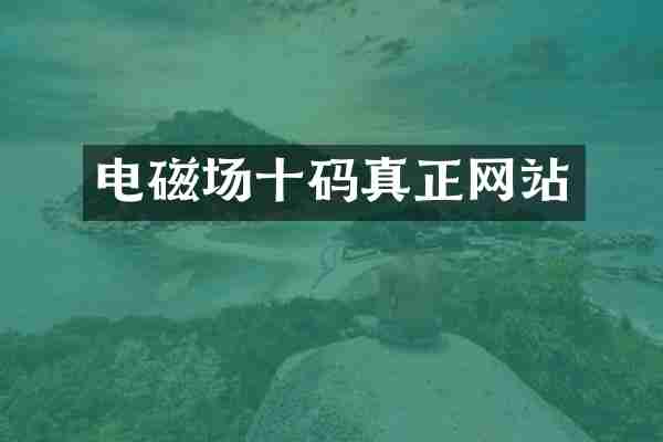 电磁场十码真正网站