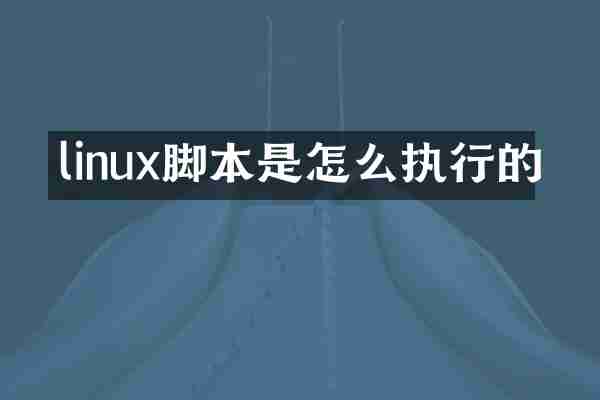 linux脚本是怎么执行的