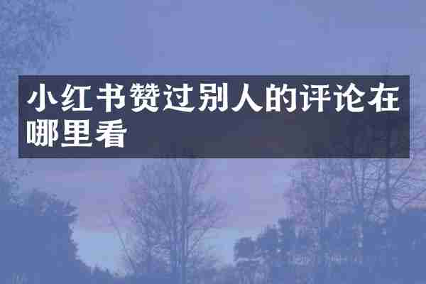 小红书赞过别人的评论在哪里看