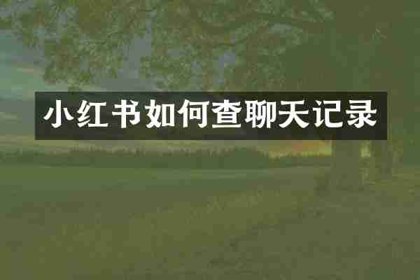 小红书如何查聊天记录