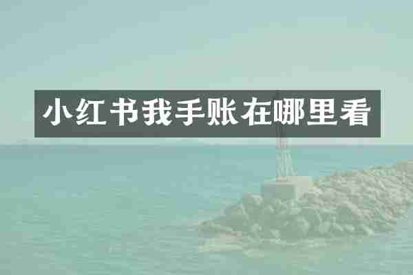 小红书我手账在哪里看