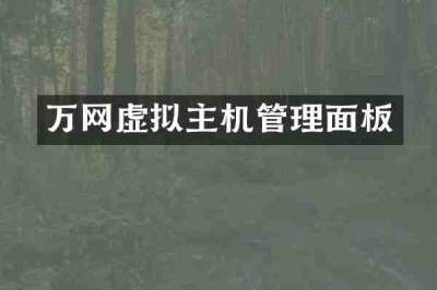 万网虚拟主机管理面板