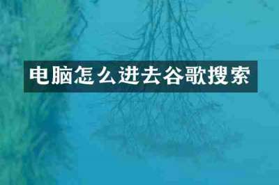 电脑怎么进去谷歌搜索