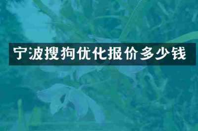 宁波搜狗优化报价多少钱