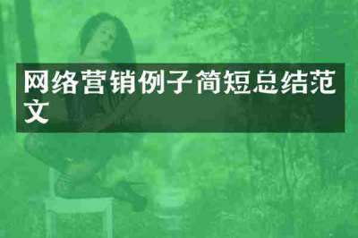 网络营销例子简短总结范文