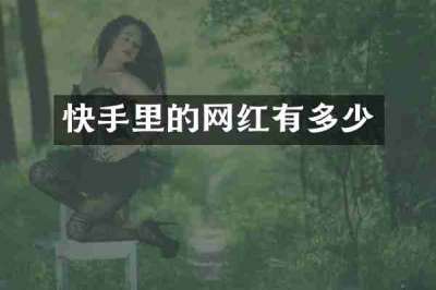快手里的网红有多少