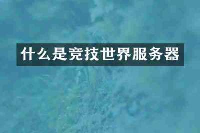 什么是竞技世界服务器