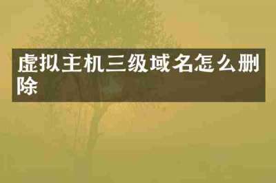 虚拟主机三级域名怎么删除