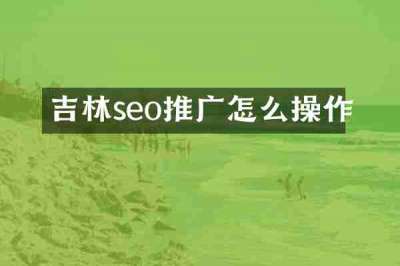 吉林seo推广怎么操作