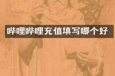 哔哩哔哩充值填写哪个好