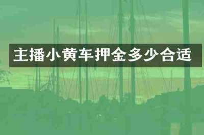 主播小黄车押金多少合适