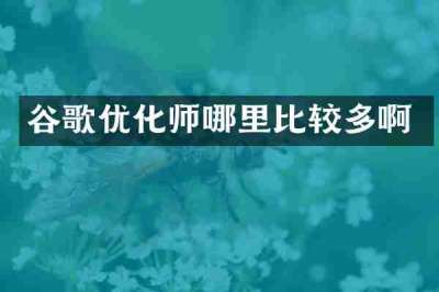 谷歌优化师哪里比较多啊
