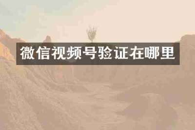微信视频号验证在哪里