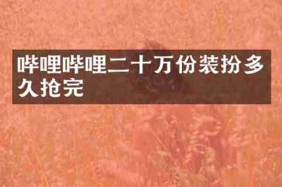 哔哩哔哩二十万份装扮多久抢完