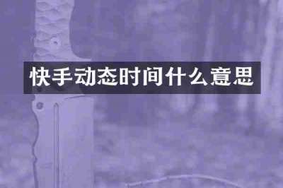 快手动态时间什么意思