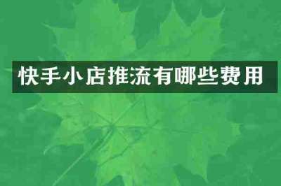 快手小店推流有哪些费用