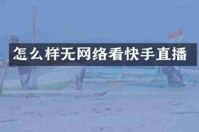 怎么样无网络看快手直播