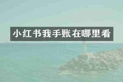 小红书我手账在哪里看