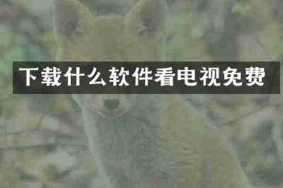 下载什么软件看电视免费