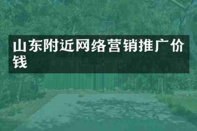 山东附近网络营销推广价钱