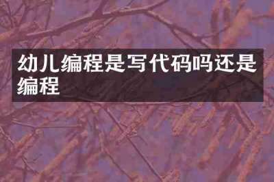 幼儿编程是写代码吗还是编程