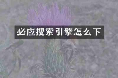 必应搜索引擎怎么下
