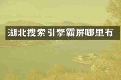 湖北搜索引擎霸屏哪里有