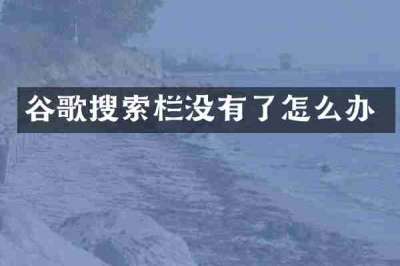 谷歌搜索栏没有了怎么办