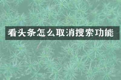 看头条怎么取消搜索功能