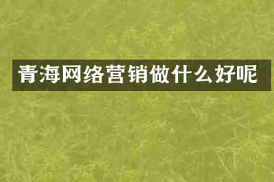 青海网络营销做什么好呢