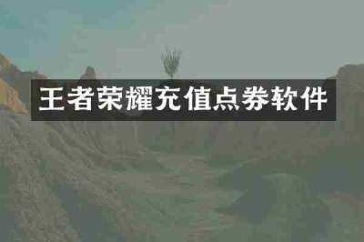 王者荣耀充值点券软件