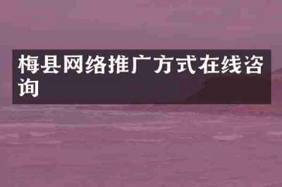 梅县网络推广方式在线咨询