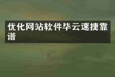 优化网站软件毕云速捷靠谱