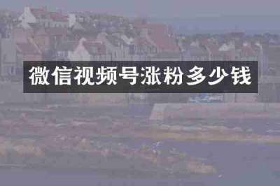 微信视频号涨粉多少钱