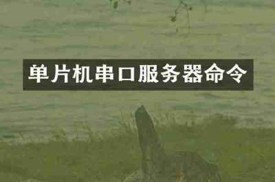 单片机串口服务器命令