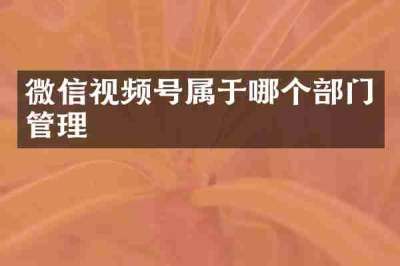 微信视频号属于哪个部门管理