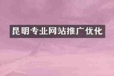 昆明专业网站推广优化