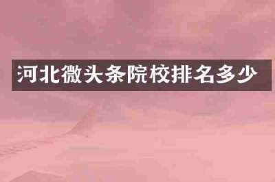 河北微头条院校排名多少