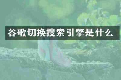 谷歌切换搜索引擎是什么