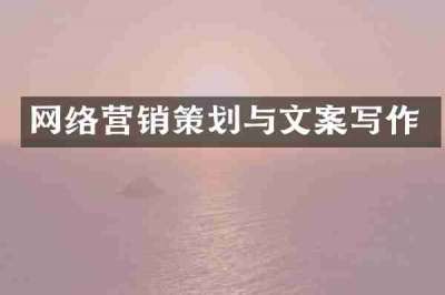 网络营销策划与文案写作