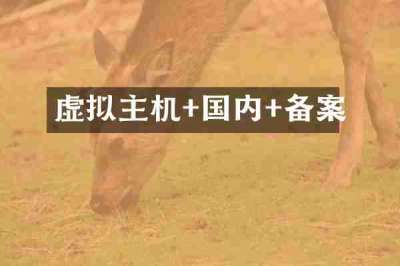 虚拟主机+国内+备案