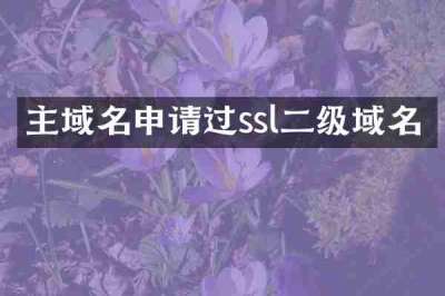 主域名申请过ssl二级域名