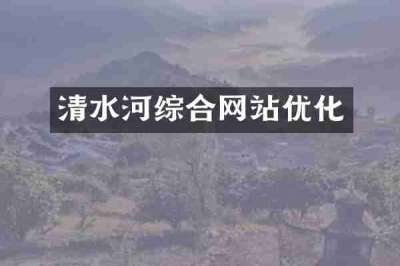 清水河综合网站优化