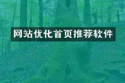 网站优化首页推荐软件