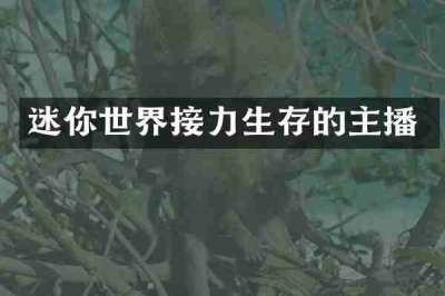 迷你世界接力生存的主播
